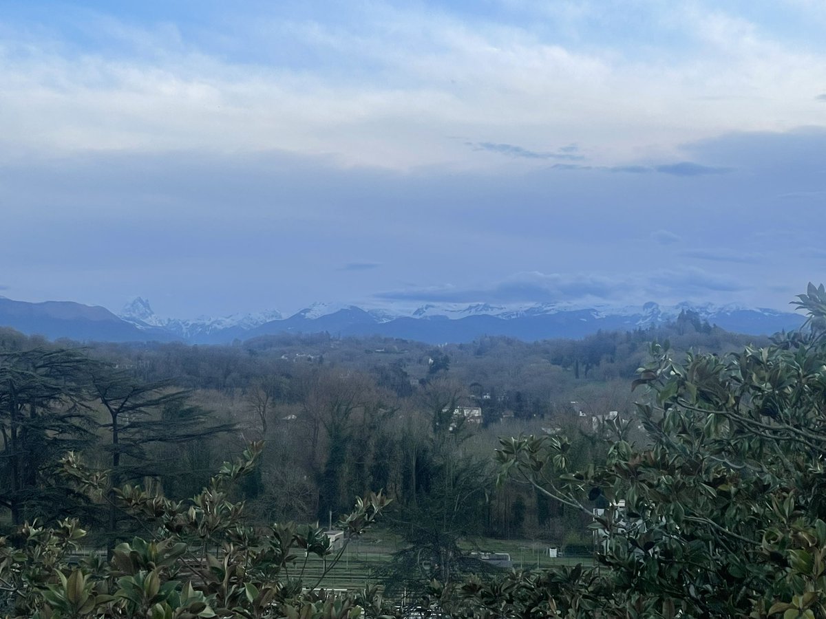 Neil Navarra tweet media