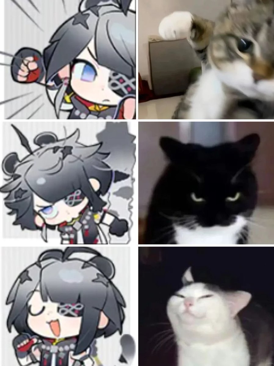 Endnimistrator2026 tweet media