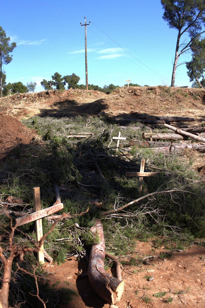 💪Dissabte 14 de Març -GRAN MANIFESTACIÓ! 
⏰Hora: 10:00
🚂Sortida: Estació de Gavà
🏁Finalització: Plaça Església (Castelldefels)  

Participa, Actua, Dona!

Bizum CODI ONG: 13719
Teaming: teaming.net/aturemelpladep…

#PlaDePonent #Gavà #Habitatge #Manifestació
