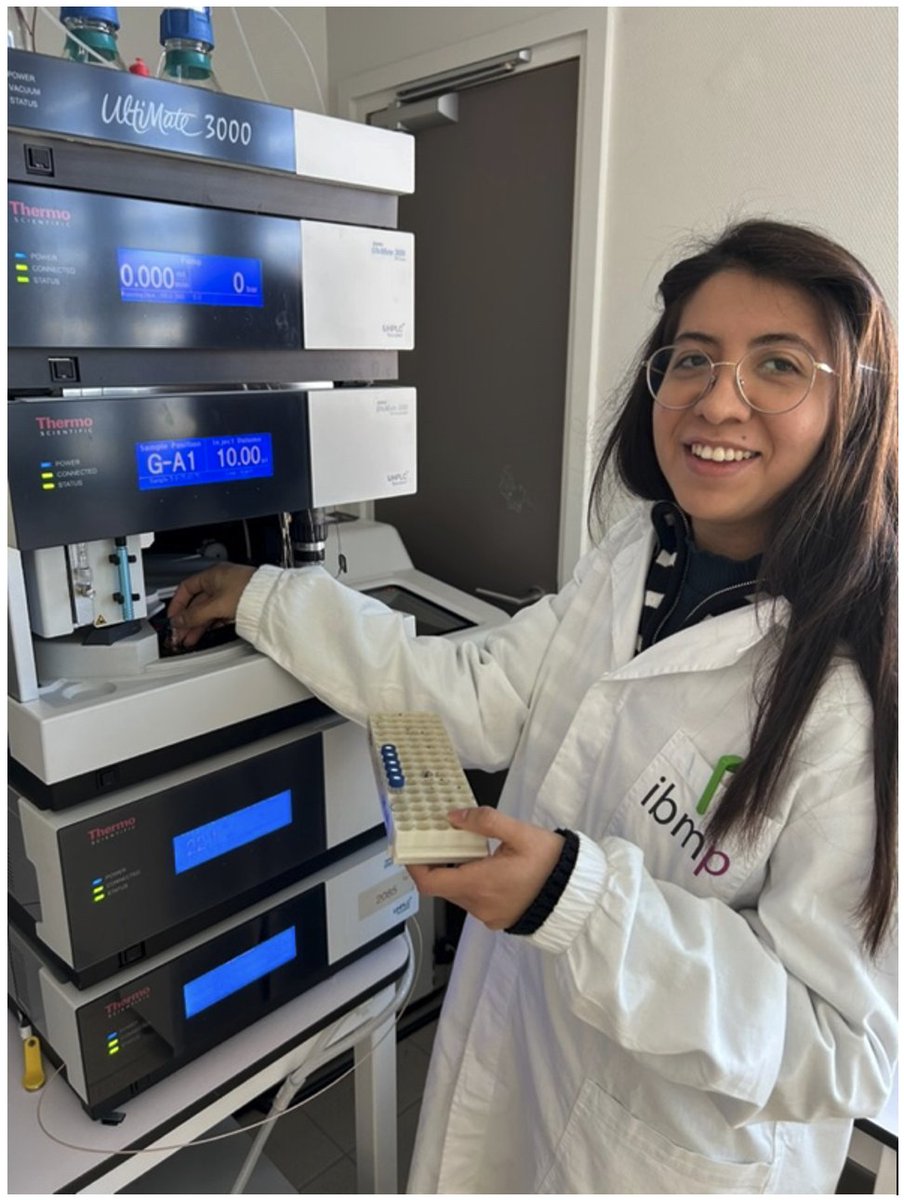 cnrs_ibmp's tweet photo. 🔬 Student experience at IBMP
💬 “Exploring metabolic responses to heat &amp; drought stress using UPLC-QQQ-MS and GC-TOF-MS was at the heart of my work in the Kliwiresse project.” - Dennisse Beltran
More about her experience 👇
https://t.co/PDt4RWQmPZ
@RegioInterreg https://t.co/0YwMVx4iPa