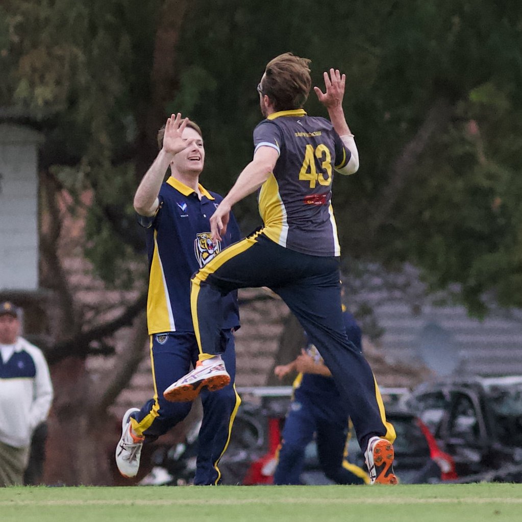 Balwyn Cricket Club 💛💙🐯🏏 tweet media