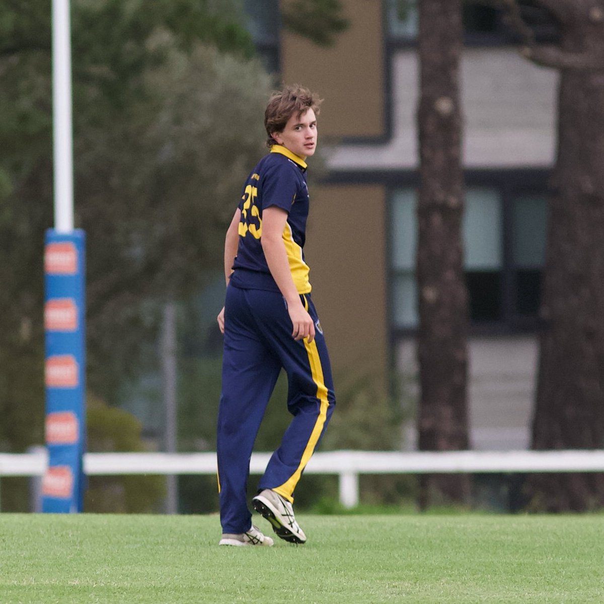 Balwyn Cricket Club 💛💙🐯🏏 tweet media