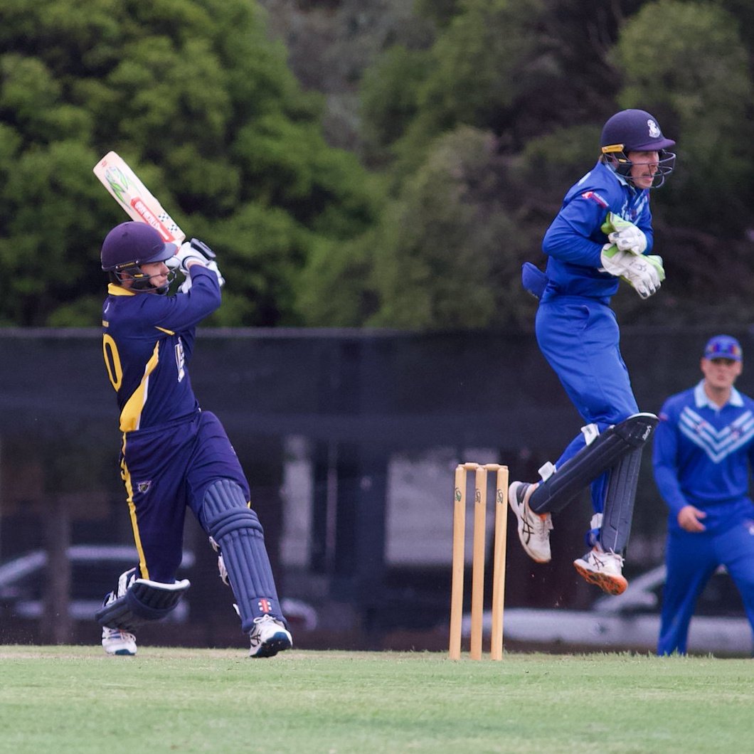 Balwyn Cricket Club 💛💙🐯🏏 tweet media