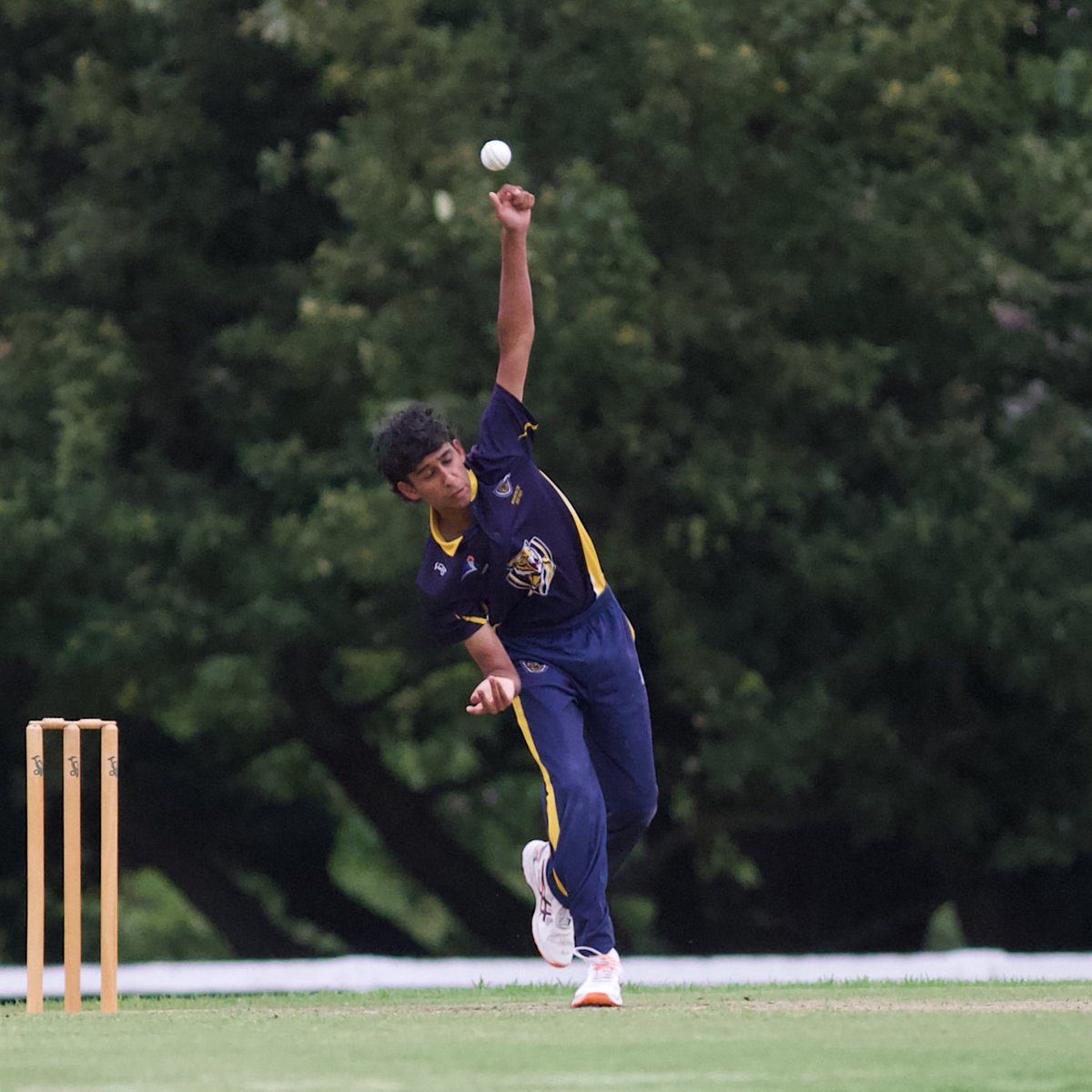 Balwyn Cricket Club 💛💙🐯🏏 tweet media