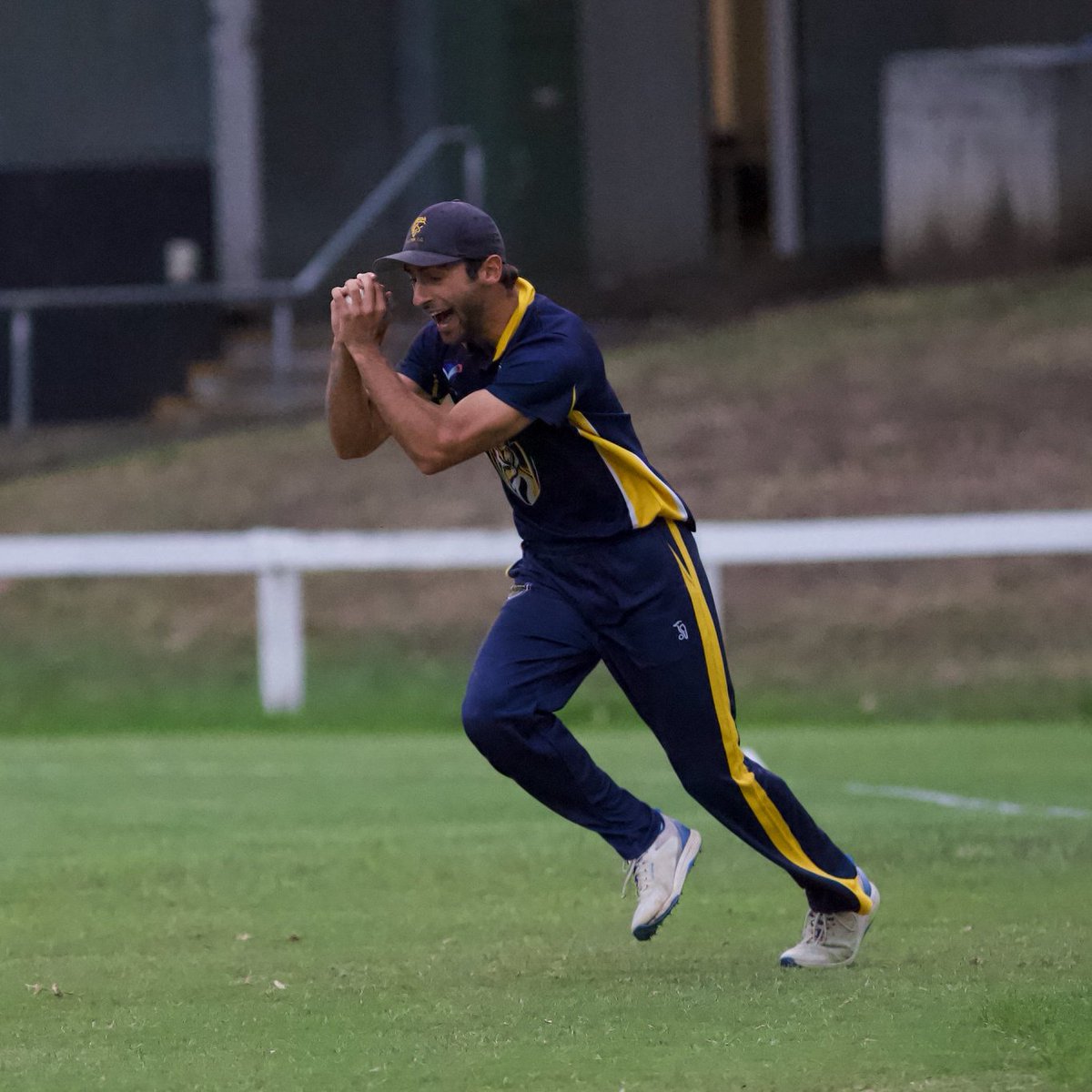 Balwyn Cricket Club ๐๐๐ฏ๐ tweet media