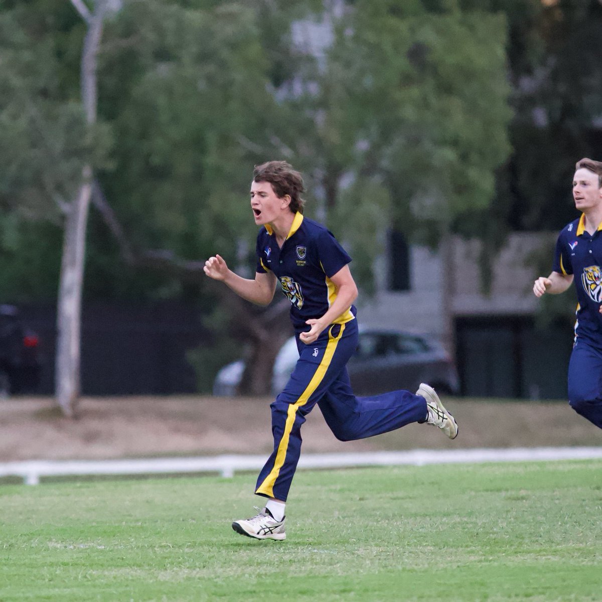 Balwyn Cricket Club ๐๐๐ฏ๐ tweet media