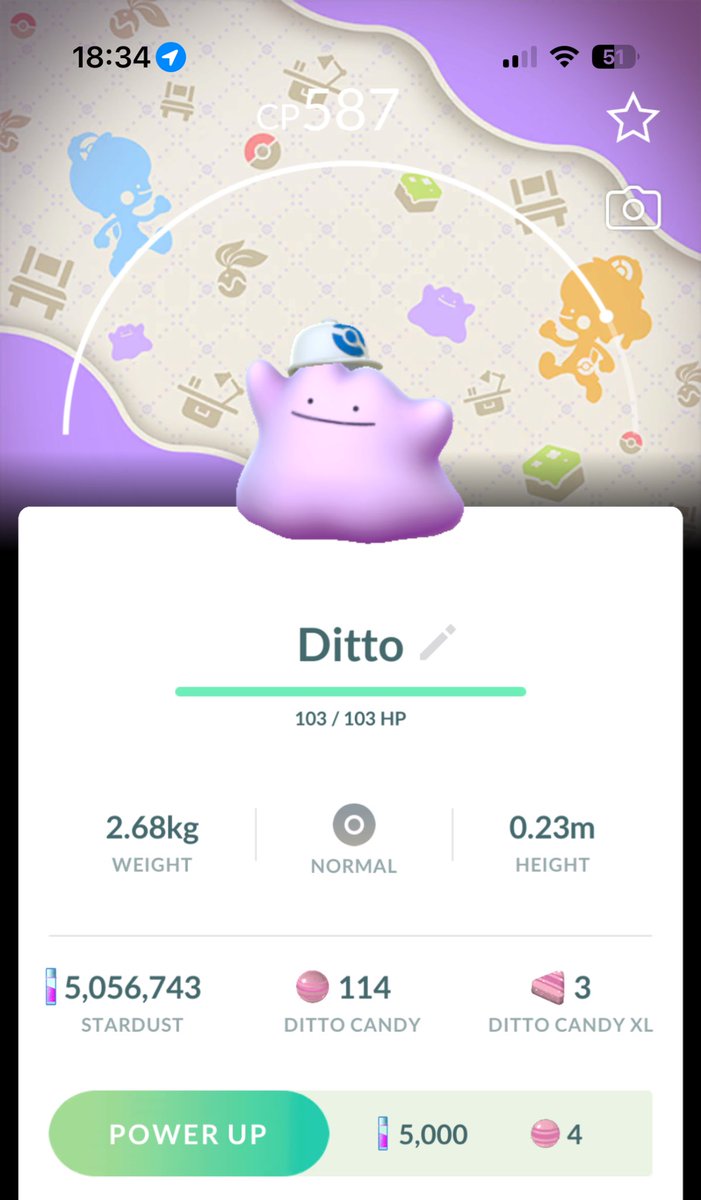 bippimae's tweet photo. This is ridiculously cute #PokemonGo https://t.co/1FOtS9ta17