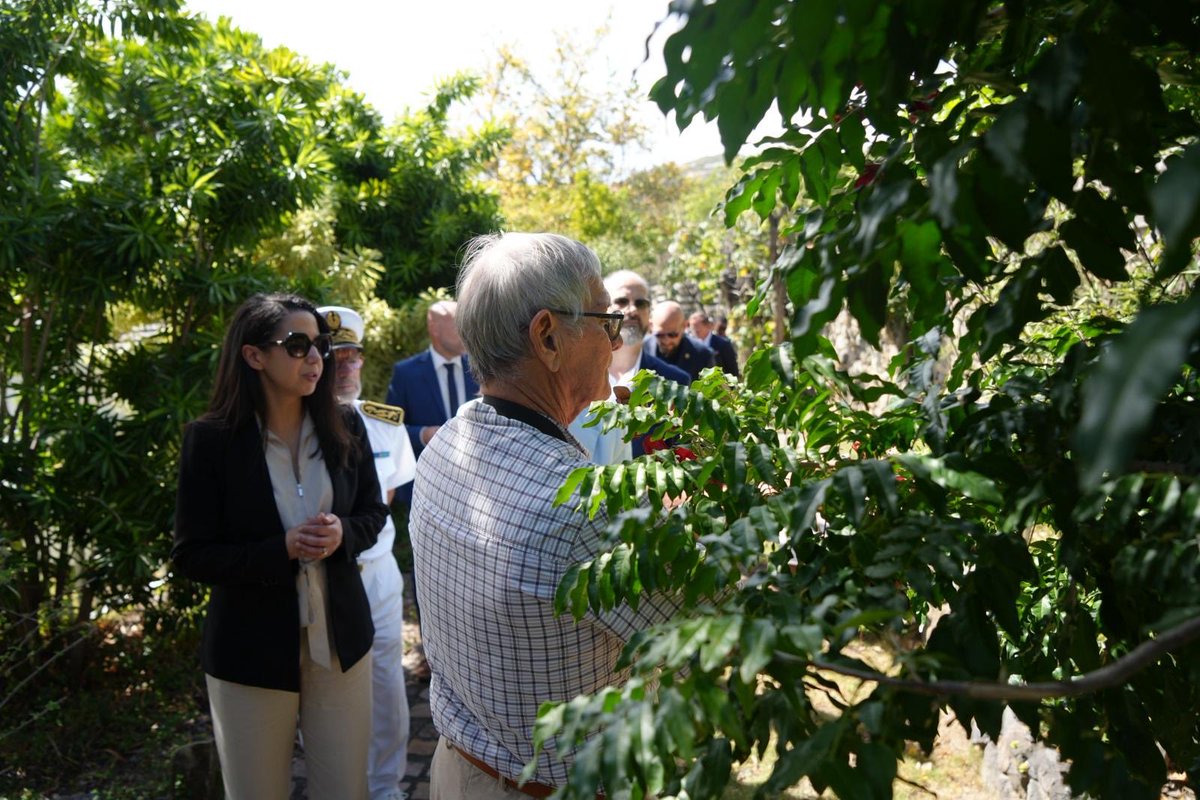 Le Domaine de Félicité rappelle que Saint-Barthélemy est aussi une histoire et une mémoire.

Un patrimoine vivant, fait de transmission, qu’il nous appartient de préserver pour les générations qui viennent.