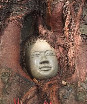 joe black tweet media