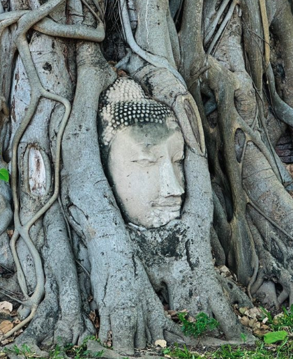 joe black tweet media