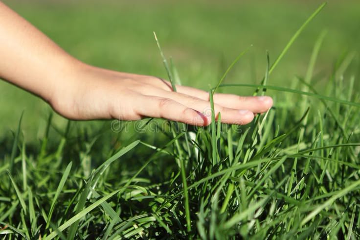 misyabrat2008's tweet photo. @ENHYPEN me touching some grass to heal the soul after heeseung left the group
#ENHYPEN #HEESEUNG https://t.co/48vdvAkHsF