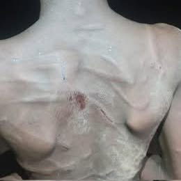 DAT News tweet media