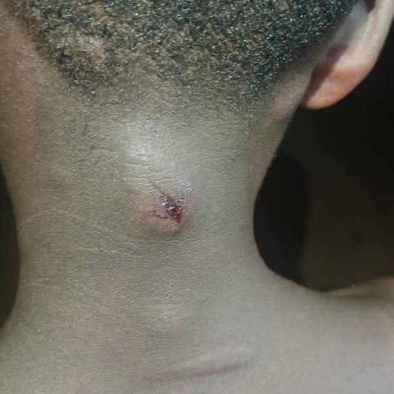 DAT News tweet media