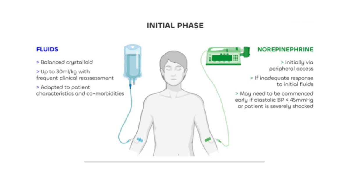 Fluid Academy tweet media