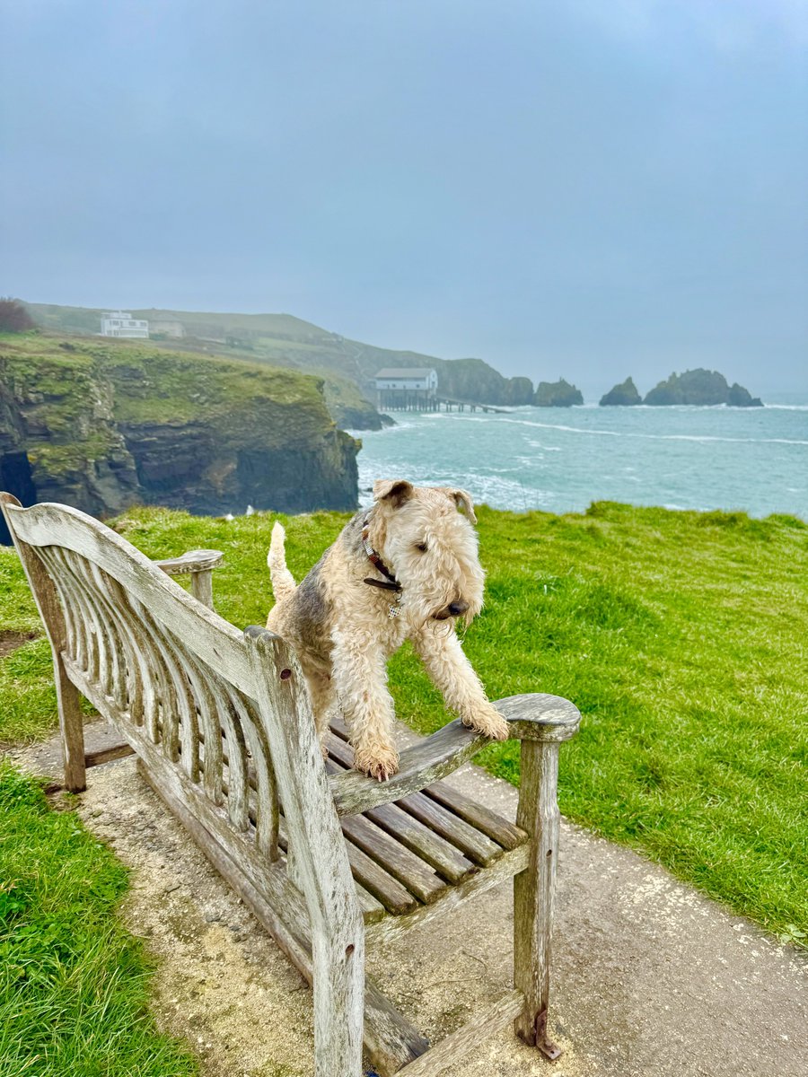 Bertie Lakeland tweet media