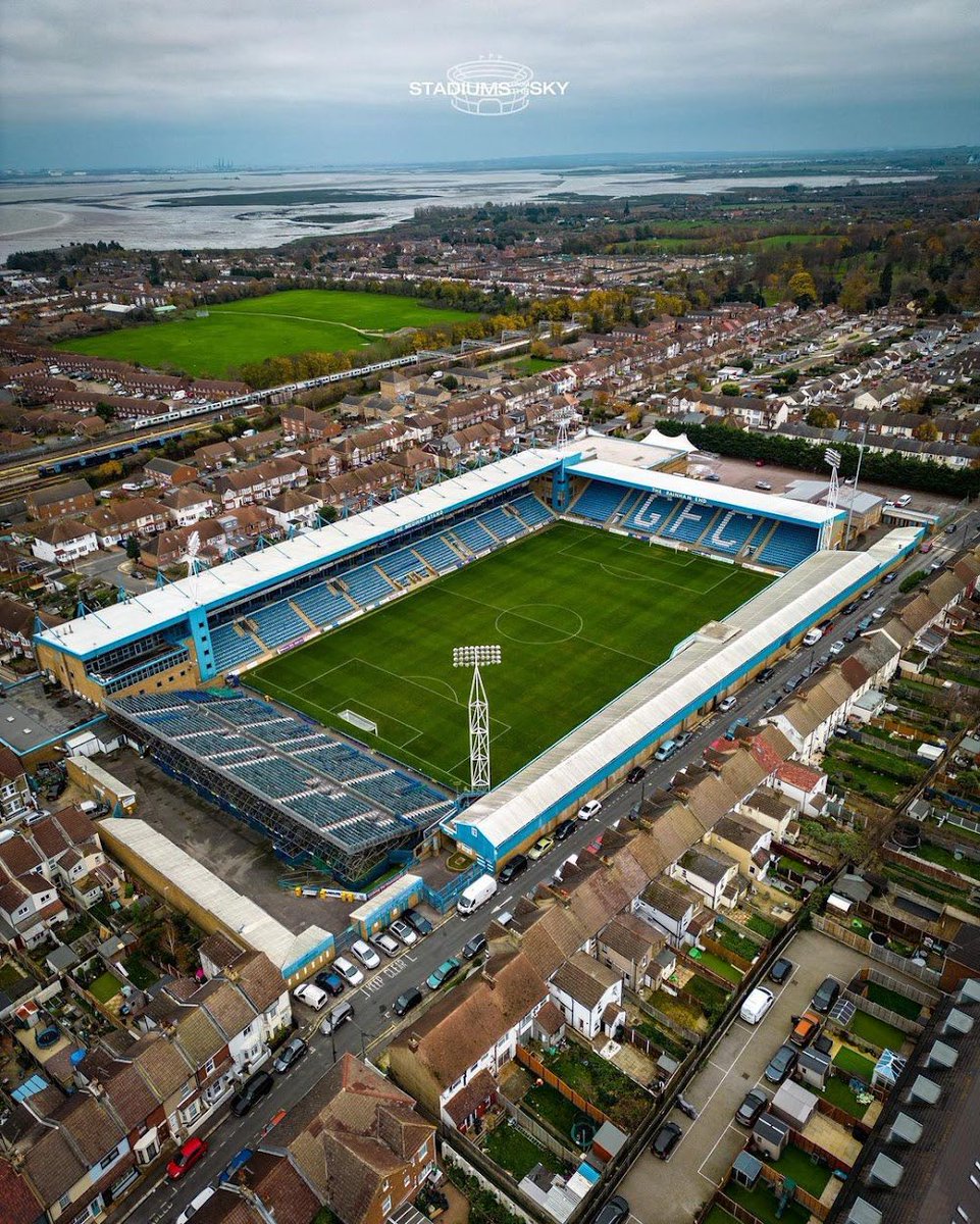 GillsInTheBlood tweet media