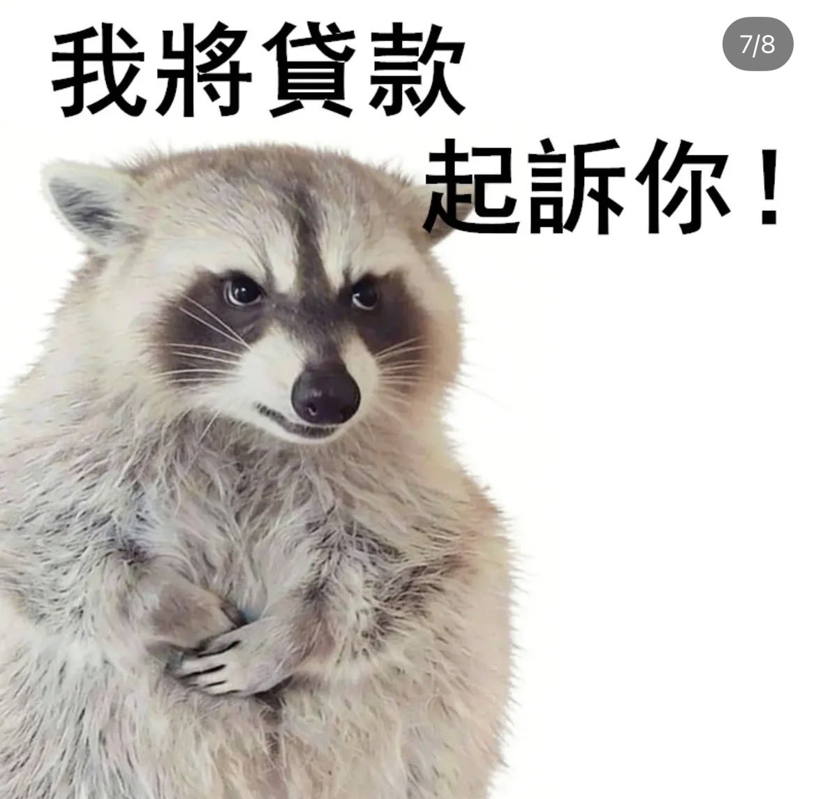 張山而 tweet media