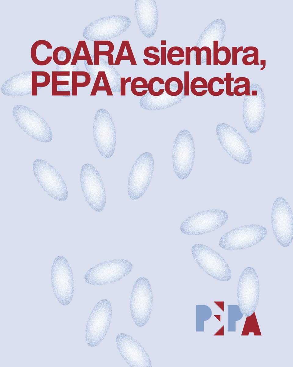 UMA Editorial tweet media