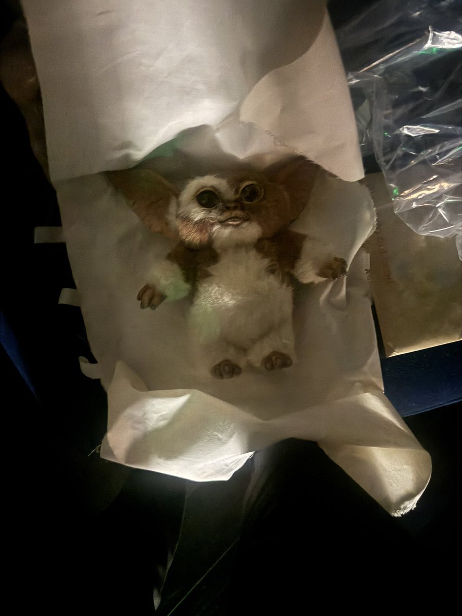 Brandon Fugal tweet media