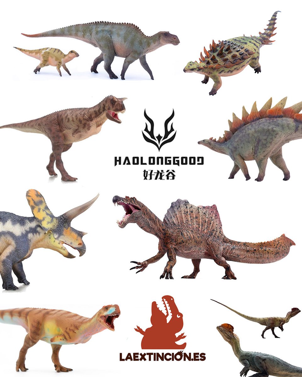 laextinci0n's tweet photo. Ya puedes comprar en España los dinosaurios de Haolonggood https://t.co/zw00TIuQku https://t.co/FSfnKz5tQZ