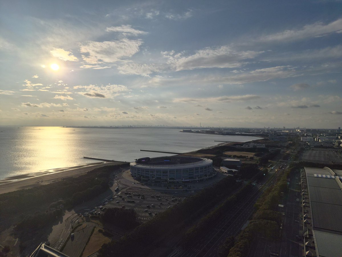 かゆもり｜Notion公式アンバサダー tweet media