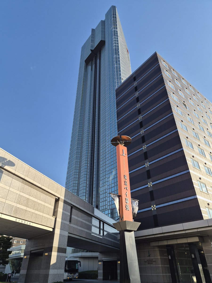 かゆもり｜Notion公式アンバサダー tweet media