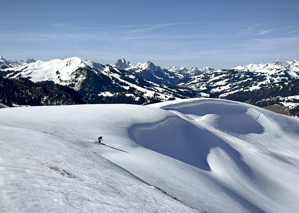 Cornelius Muller tweet media