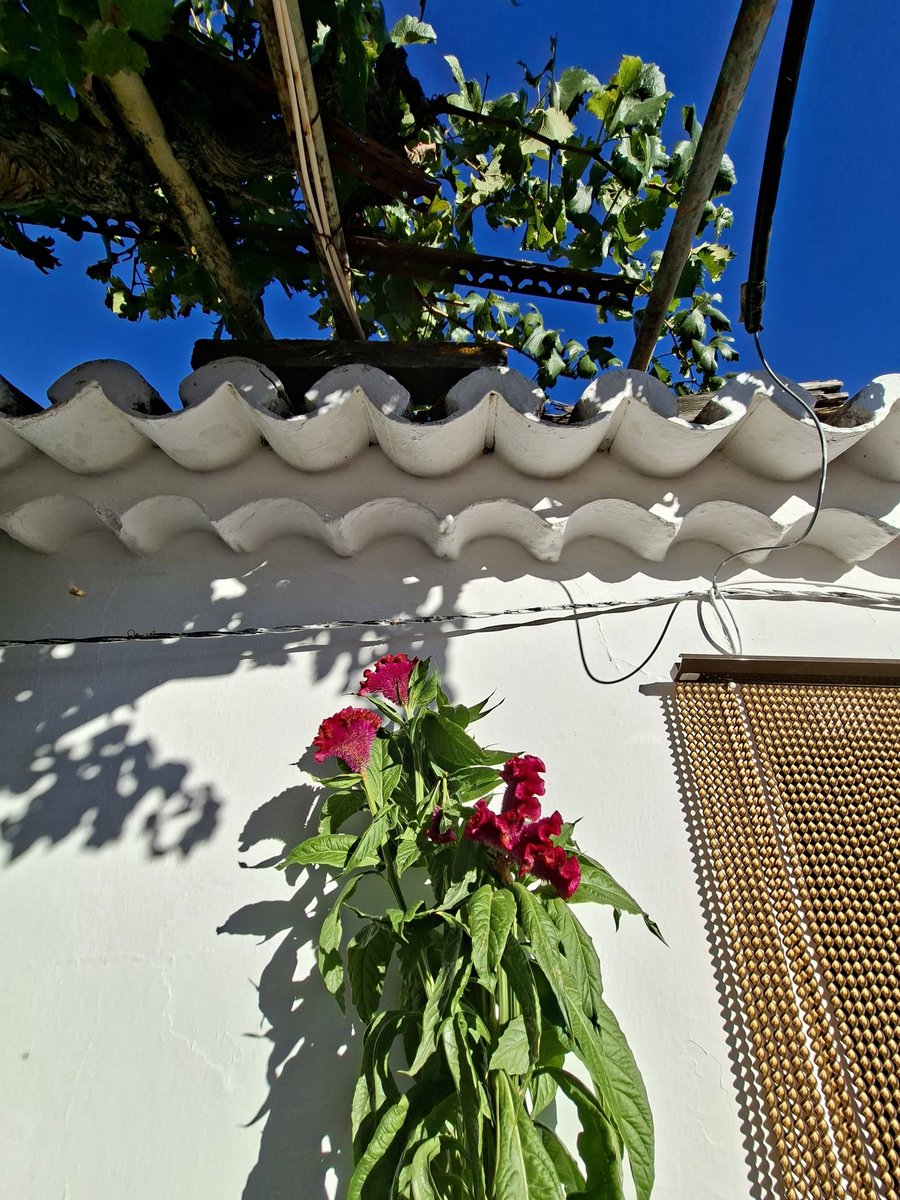 alentejo_1970's tweet image. #details 📸