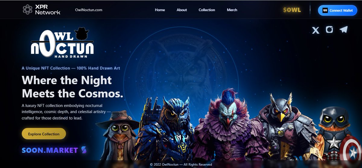 OwlNoctun NFT Collection tweet media