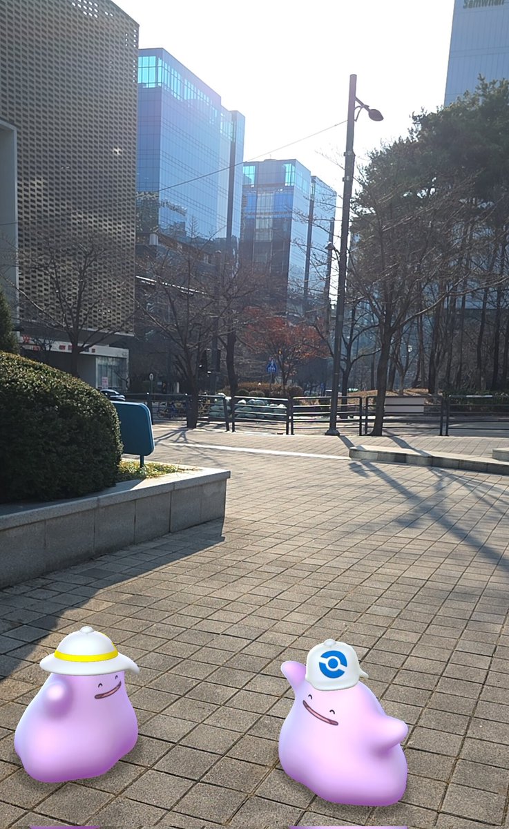 ダビディア tweet media