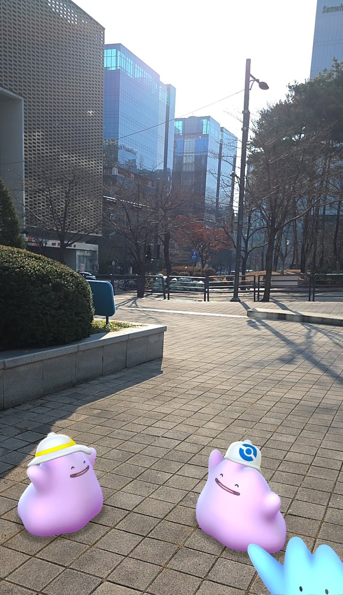 ダビディア tweet media