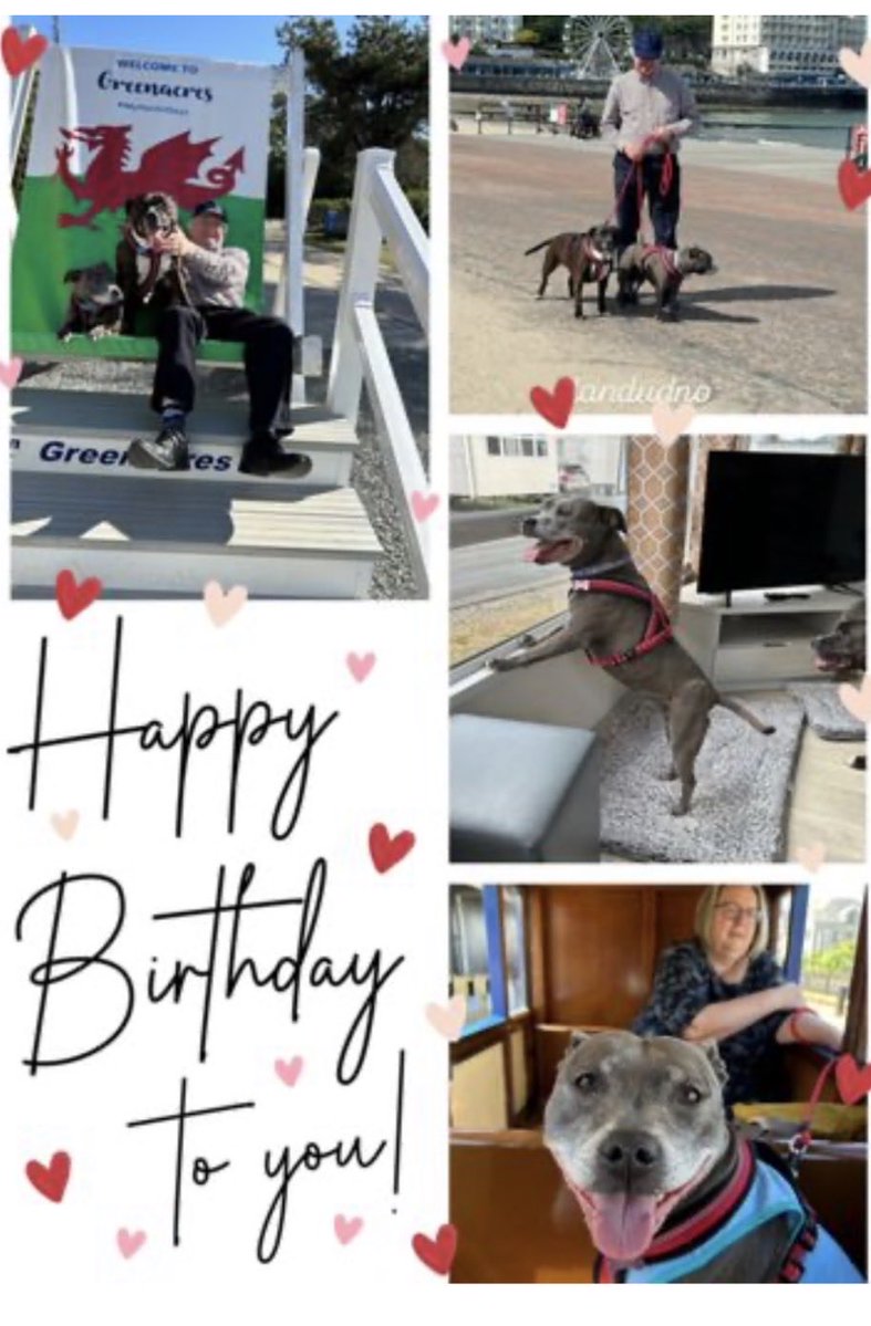 Thanks for my lovely card Dylan. Did you ask mummy first before using her I-bone? Can’t wait till dad comes home tonight to do presents. Love Daisy 🩷🐾🐾