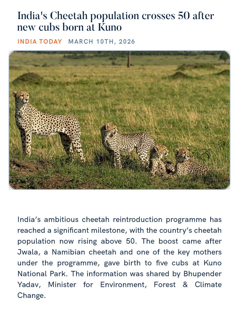 India's Cheetah population crosses 50 after new cubs born at Kuno
indiatoday.in/science/story/… 

via NaMo App