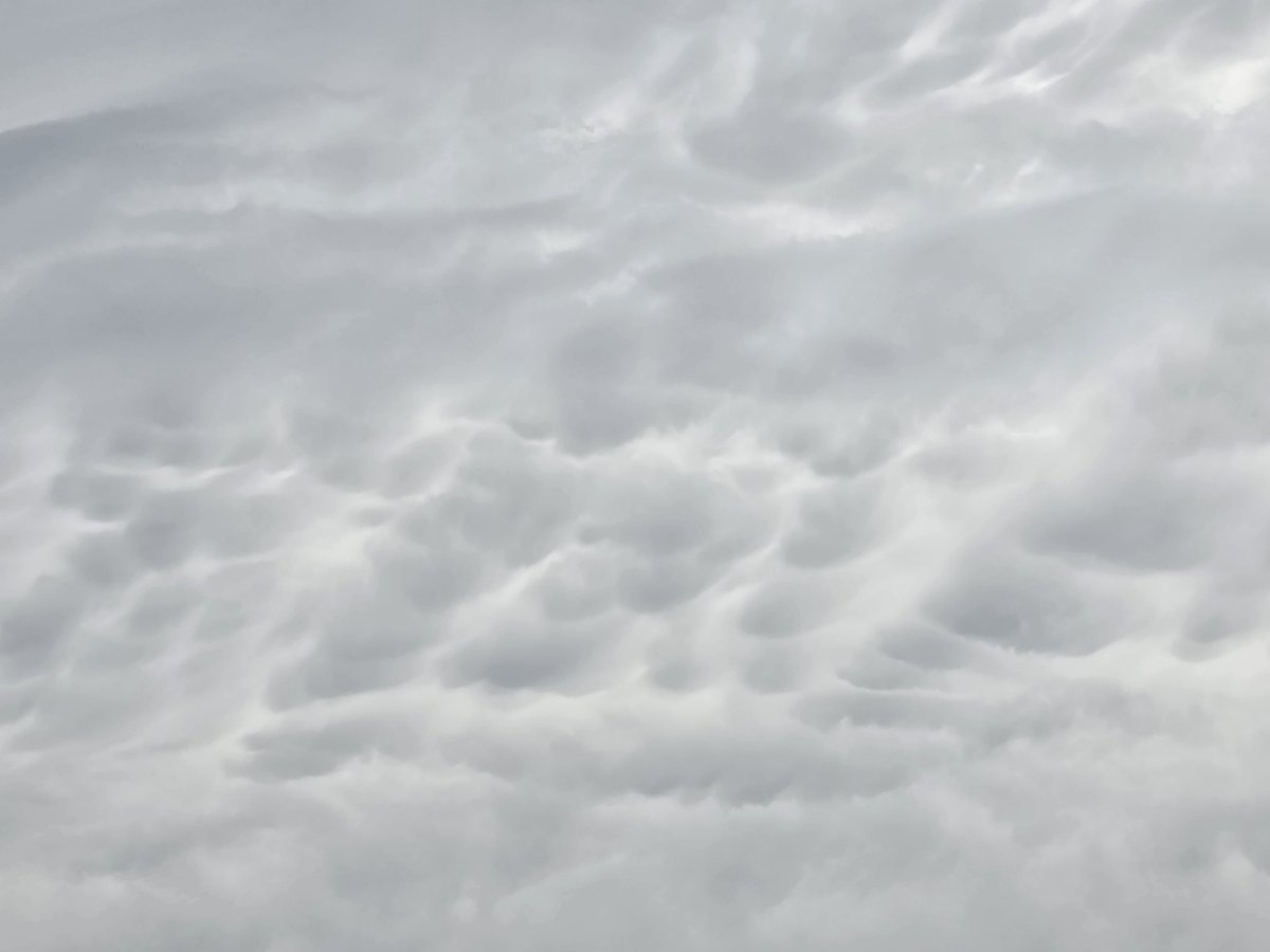 طنط منى الكعبي 🇦🇪 tweet media