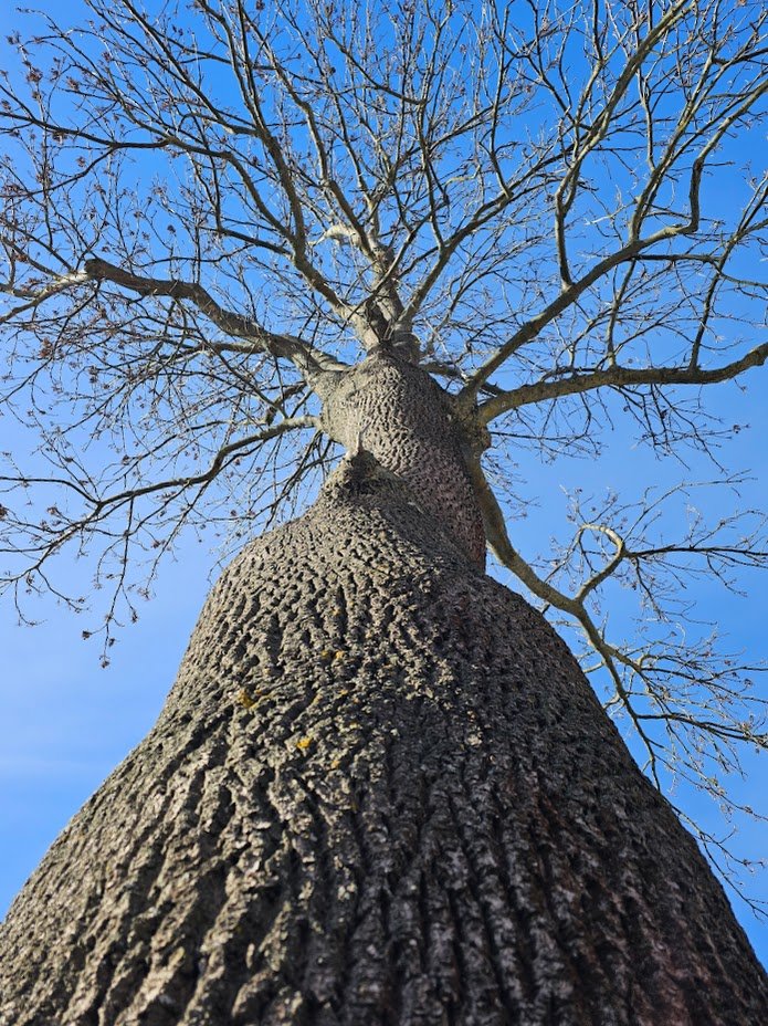 Tuula Ström 🌻🇺🇦🇪🇺 tweet media