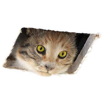 SuperVillainCat's tweet photo. look what I’ve found~ https://t.co/neNAAdPGI4