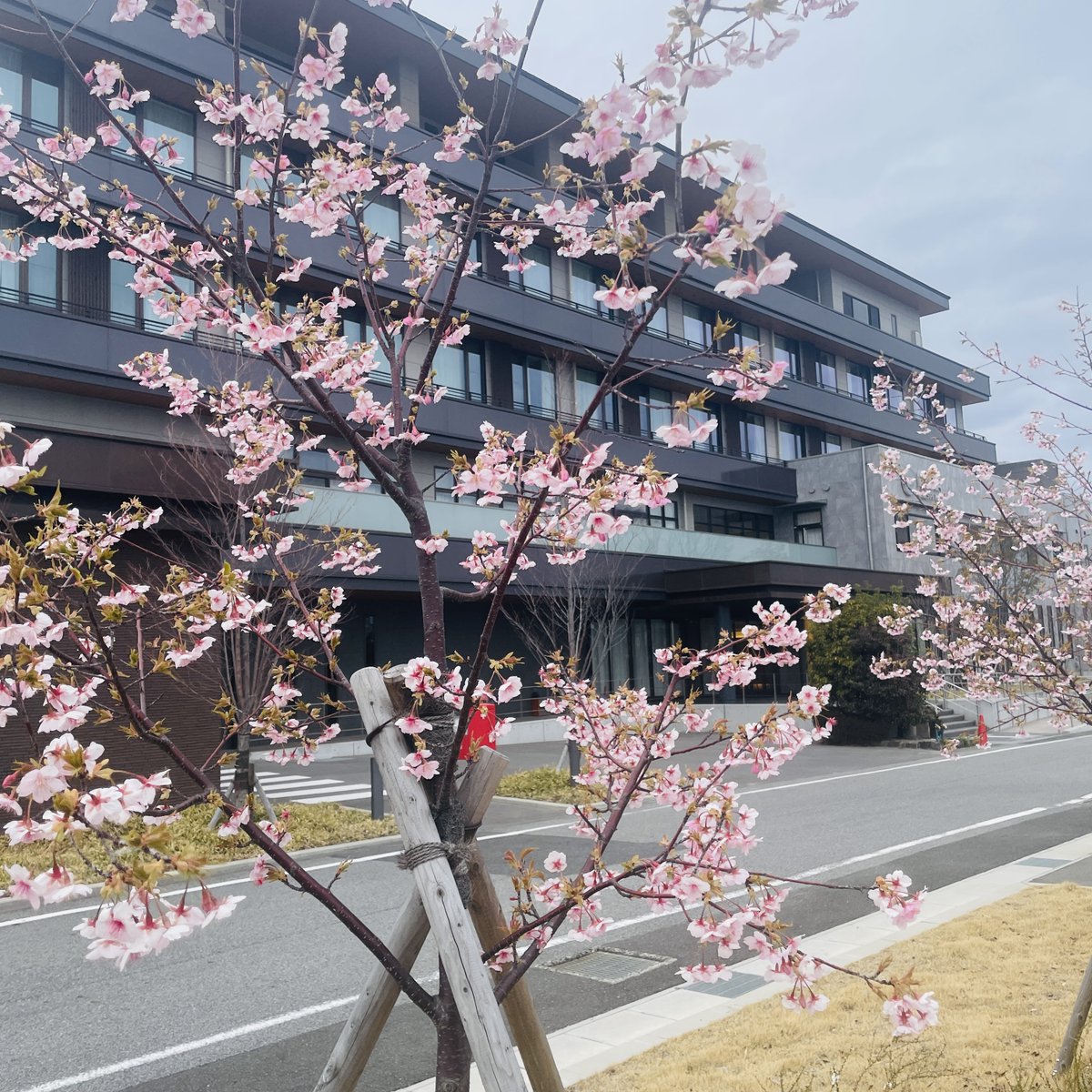 家田病院 tweet media