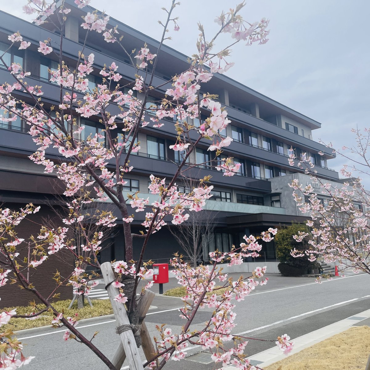 家田病院 tweet media