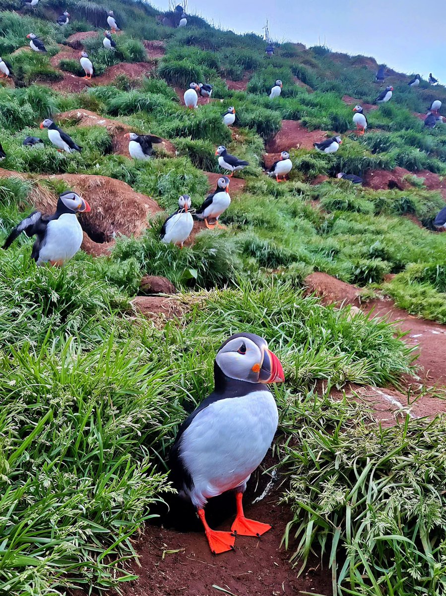 WhiteHouse tweet media