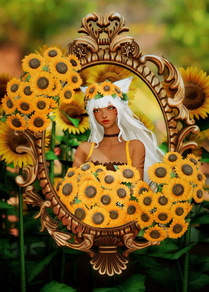 ☀️ Sol tweet media