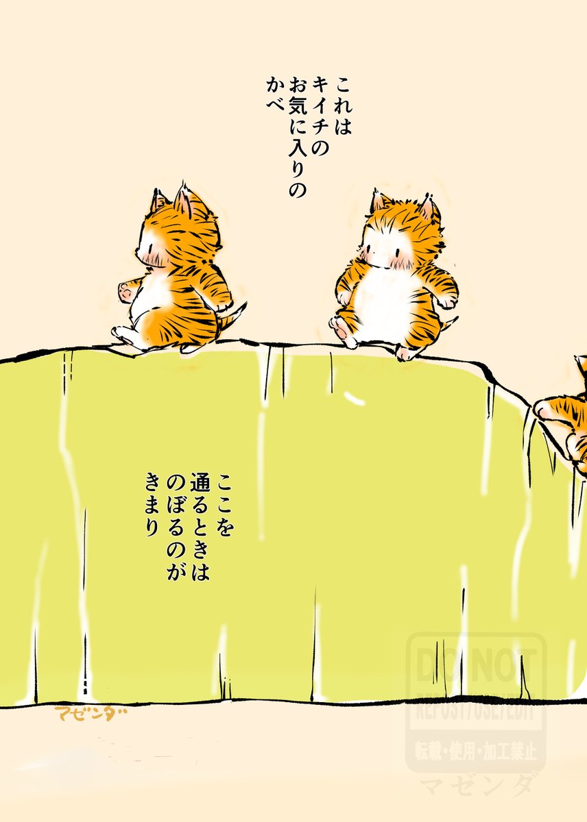 マゼンダ tweet media