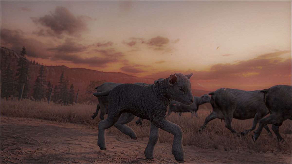 PHOTOGRAPY_GAMES tweet media