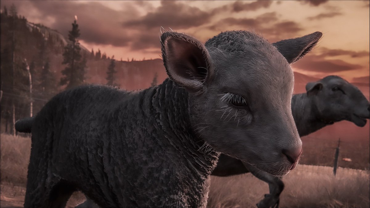 PHOTOGRAPY_GAMES tweet media