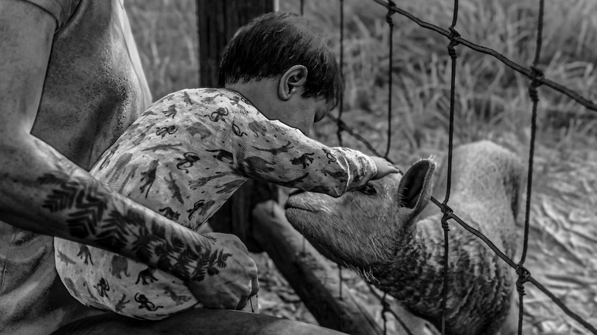 PHOTOGRAPY_GAMES tweet media