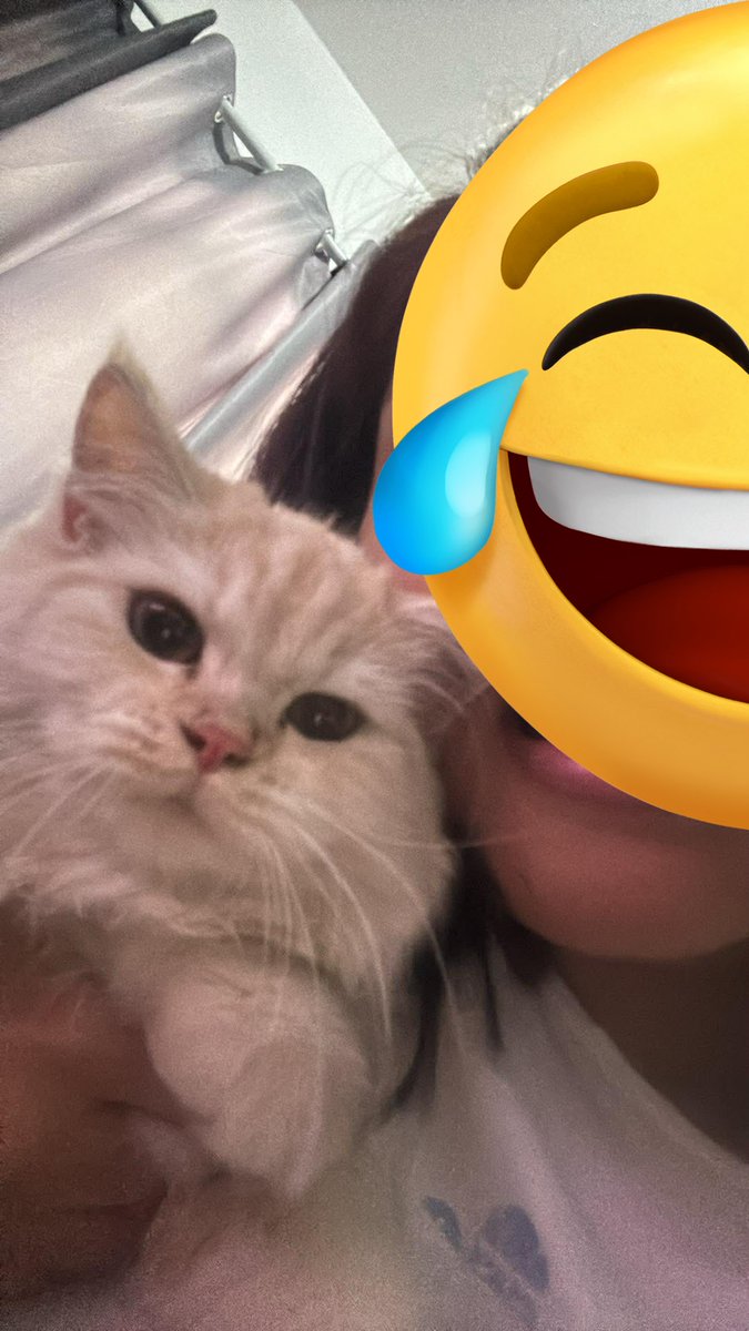 waffles and momi sending selfies to my sister