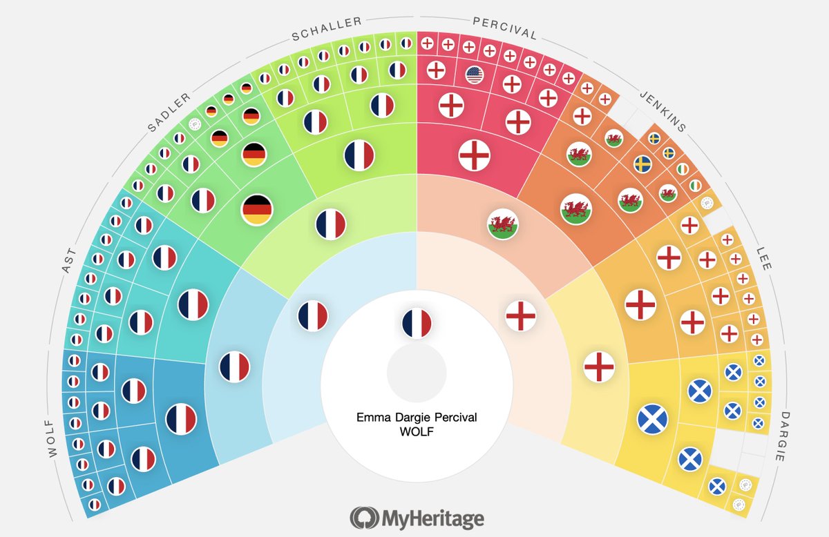 Greg Wolf tweet media