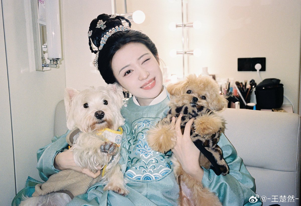 wang churan tweet media