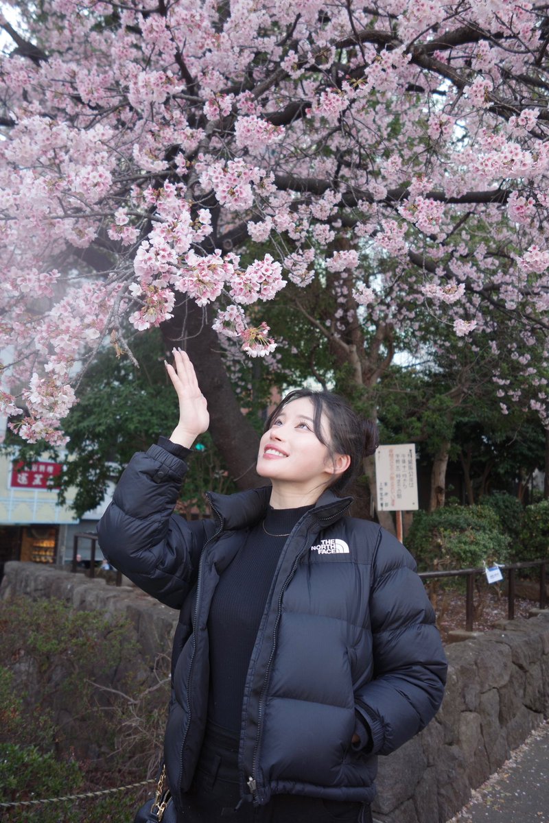 kiho_aeria tweet media