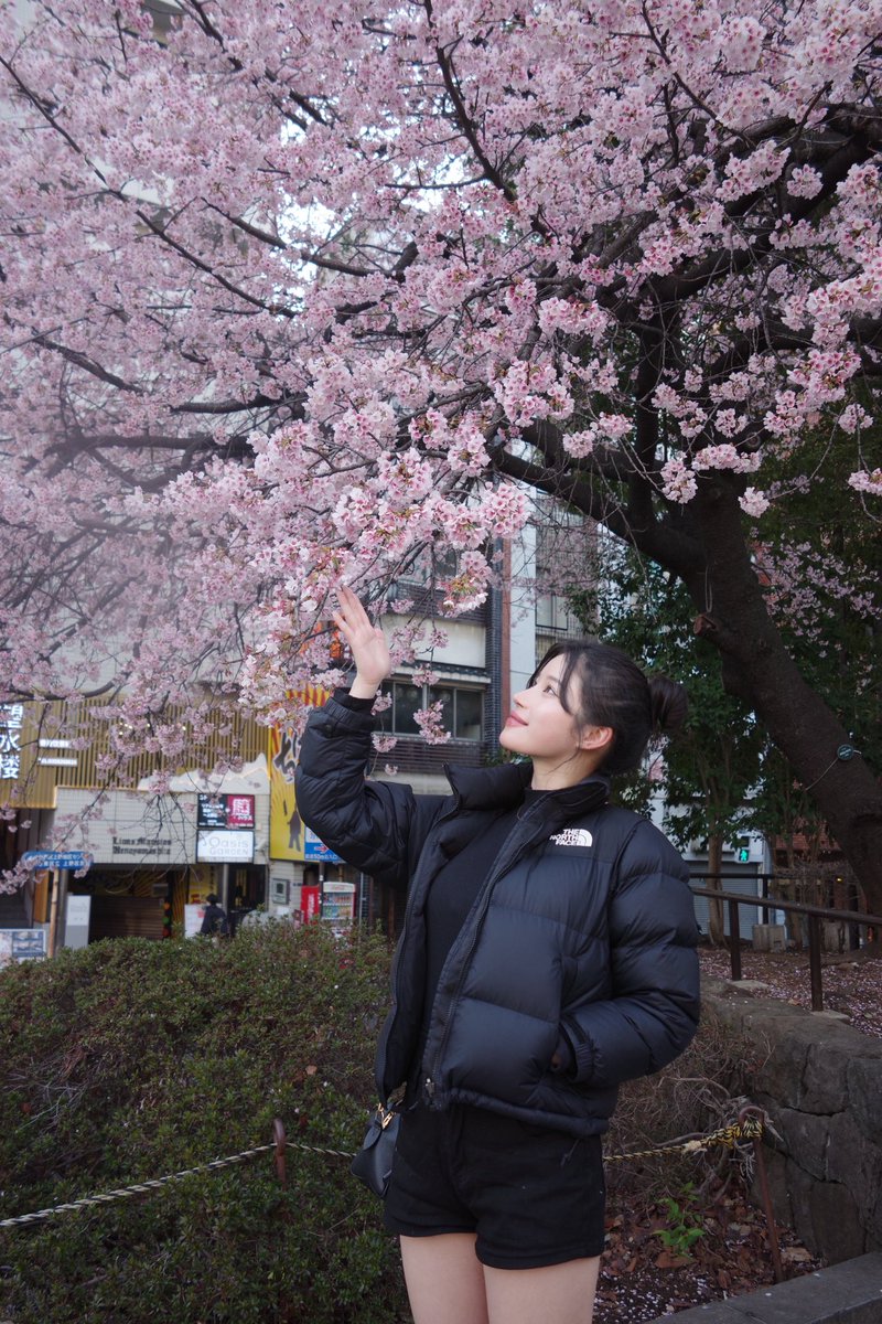 kiho_aeria tweet media