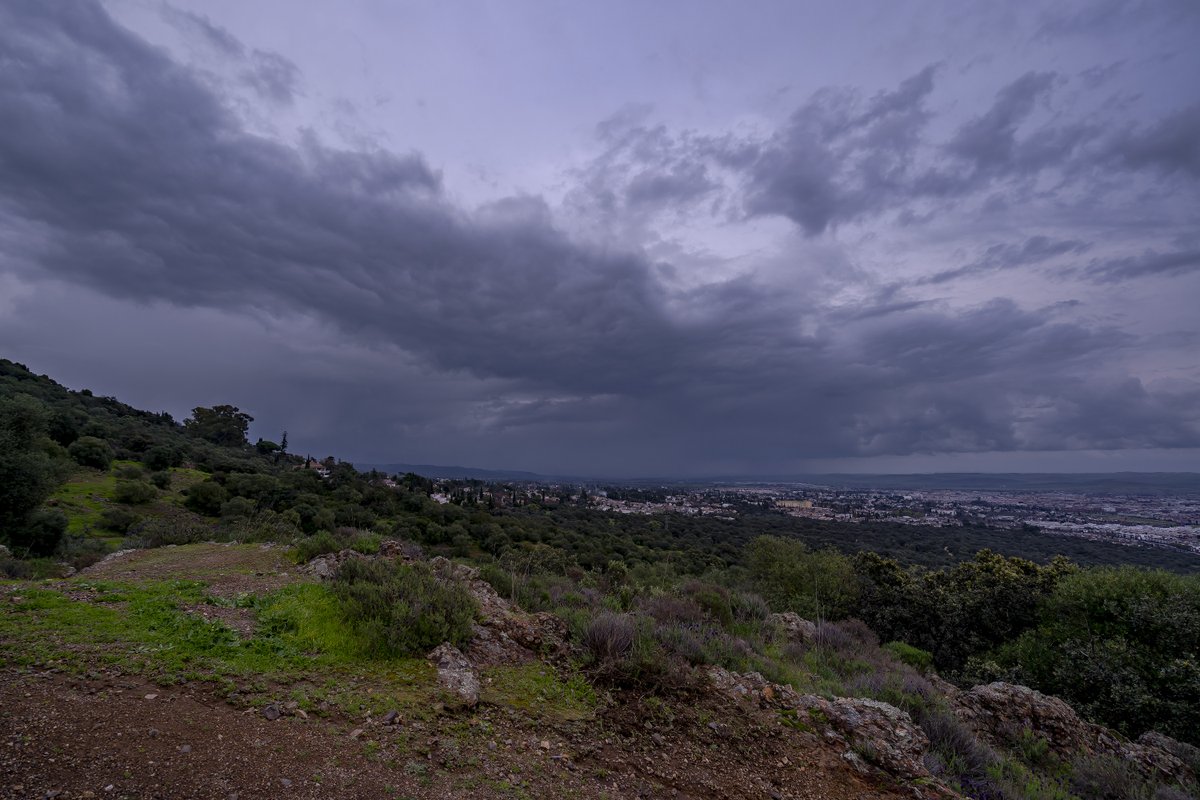 Pedro Mengual tweet media